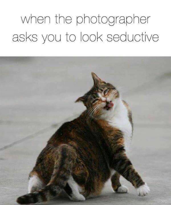 memes - photographer asks you to look seductive - when the photographer asks you to look seductive
