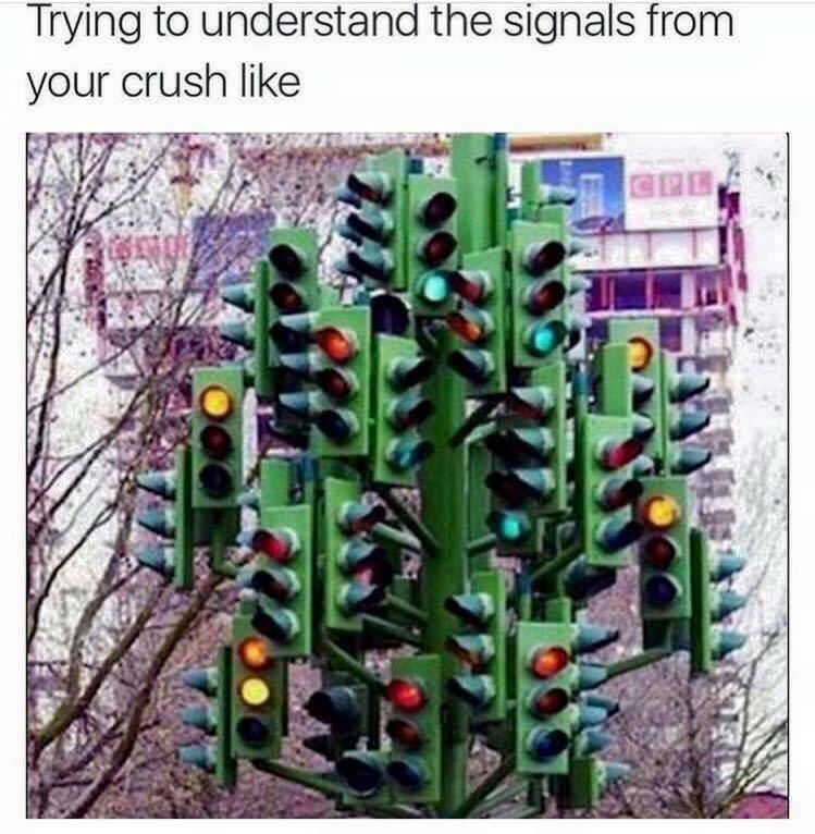 memes - trying to understand the signals from your crush - Trying to understand the signals from your crush