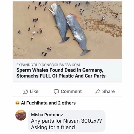 memes - sperm whales car parts - ExpandYourConsciousness.Com Sperm Whales Found Dead In Germany, Stomachs Full Of Plastic And Car Parts Comment Ai Fuchihata and 2 others Misha Protopov Any parts for Nissan 300zx?? Asking for a friend