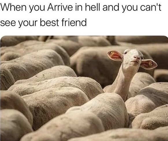 memes - you arrive in hell and cant see your best friend - When you Arrive in hell and you can't see your best friend