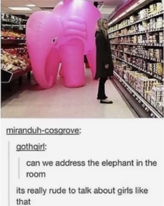 memes - elephant in the room - miranduhcosgrove gothqirl can we address the elephant in the room its really rude to talk about girls that