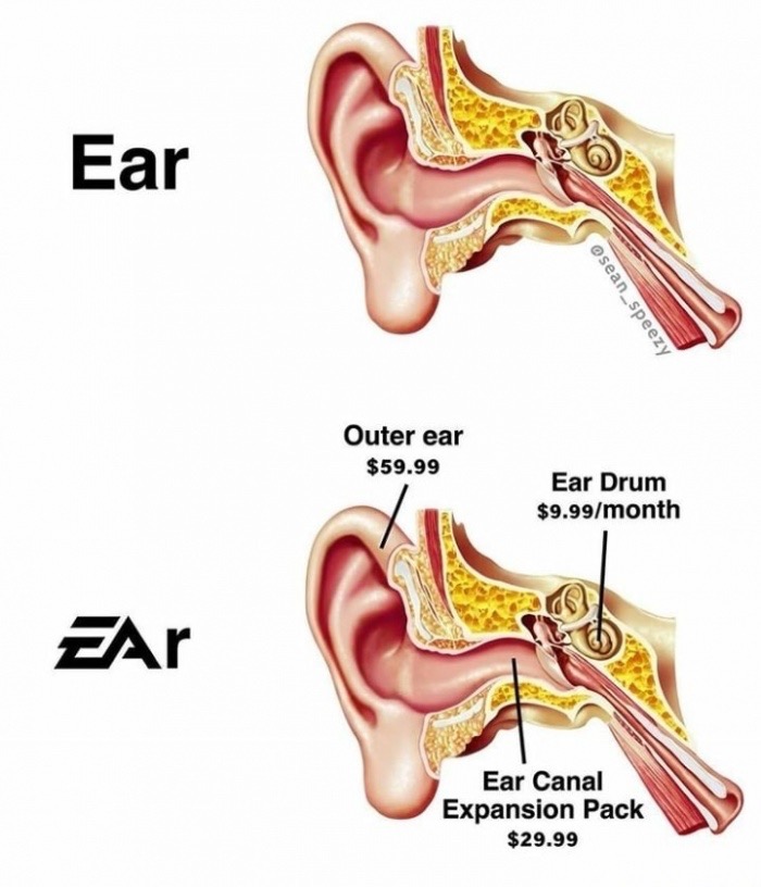 Ear ear meme