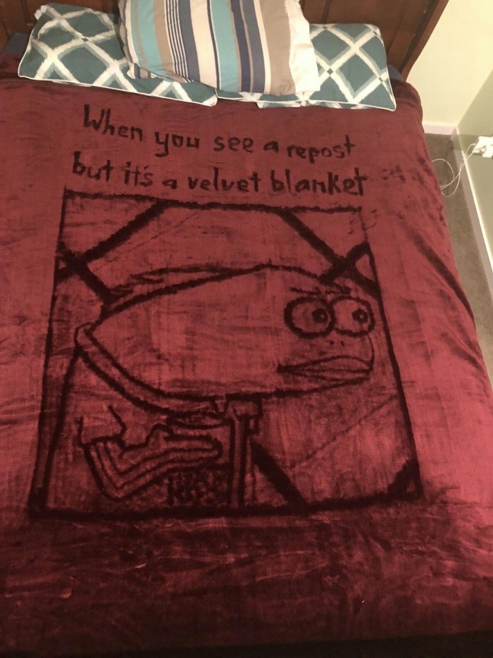 memes - meme quilt blanket - When you see a repost but it's a velvet blanket
