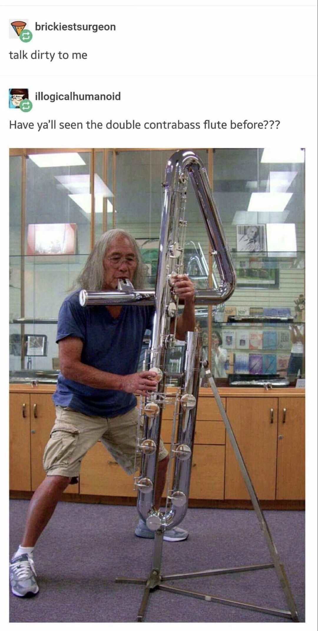 memes - double contrabass flute - brickiestsurgeon talk dirty to me illogicalhumanoid Have ya'll seen the double contrabass flute before???