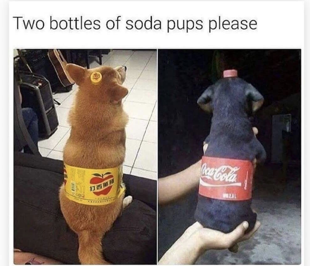 memes - dog cola - Two bottles of soda pups please