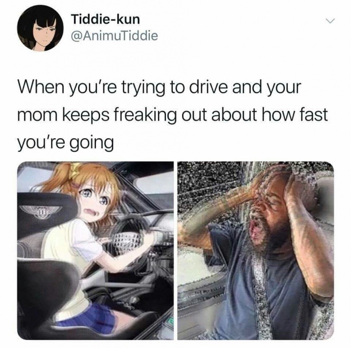 memes - photo caption - Tiddiekun When you're trying to drive and your mom keeps freaking out about how fast you're going 28 Loonelessweeb