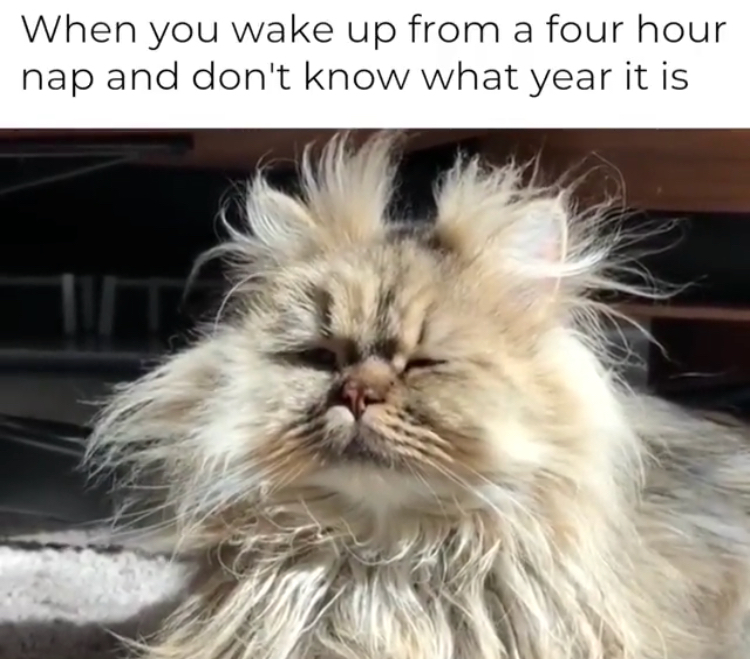 46 Memes for the Weekend That Will Help You Enjoy The Day