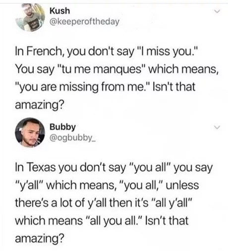 memes - french they don t say i miss you meme - Kush In French, you don't say "I miss you." You say "tu me manques" which means, "you are missing from me." Isn't that amazing? Bubby Bubbyish . In Texas you don't say "you all" you say "y'all" which means, 