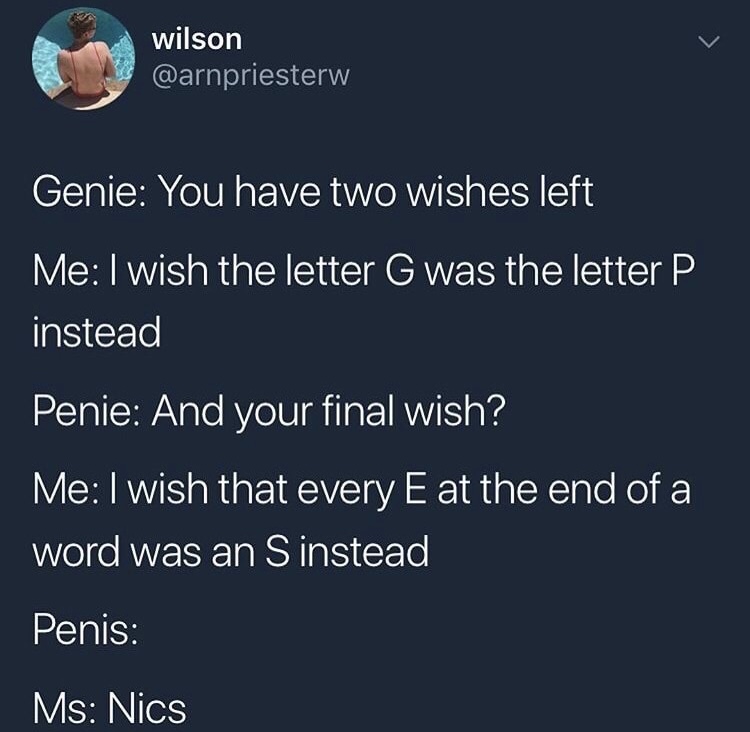memes - atmosphere - wilson waaropriesterw Genie You have two wishes left Me I wish the letter G was the letter P instead Penie And your final wish? Me I wish that every E at the end of a word was an S instead Penis Ms Nics
