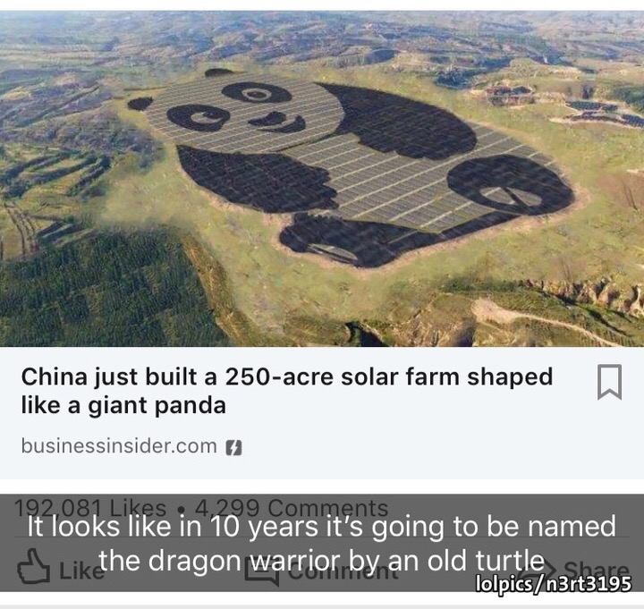 memes - giant solar panel - D China just built a 250acre solar farm shaped a giant panda businessinsider.com 9 192.081 4.299 It looks in 10 years it's going to be named the dragon warrior by an old turtle olpicsn3rt3195
