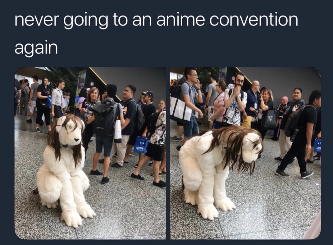 memes - nina chimera meme - never going to an anime convention again Hidive
