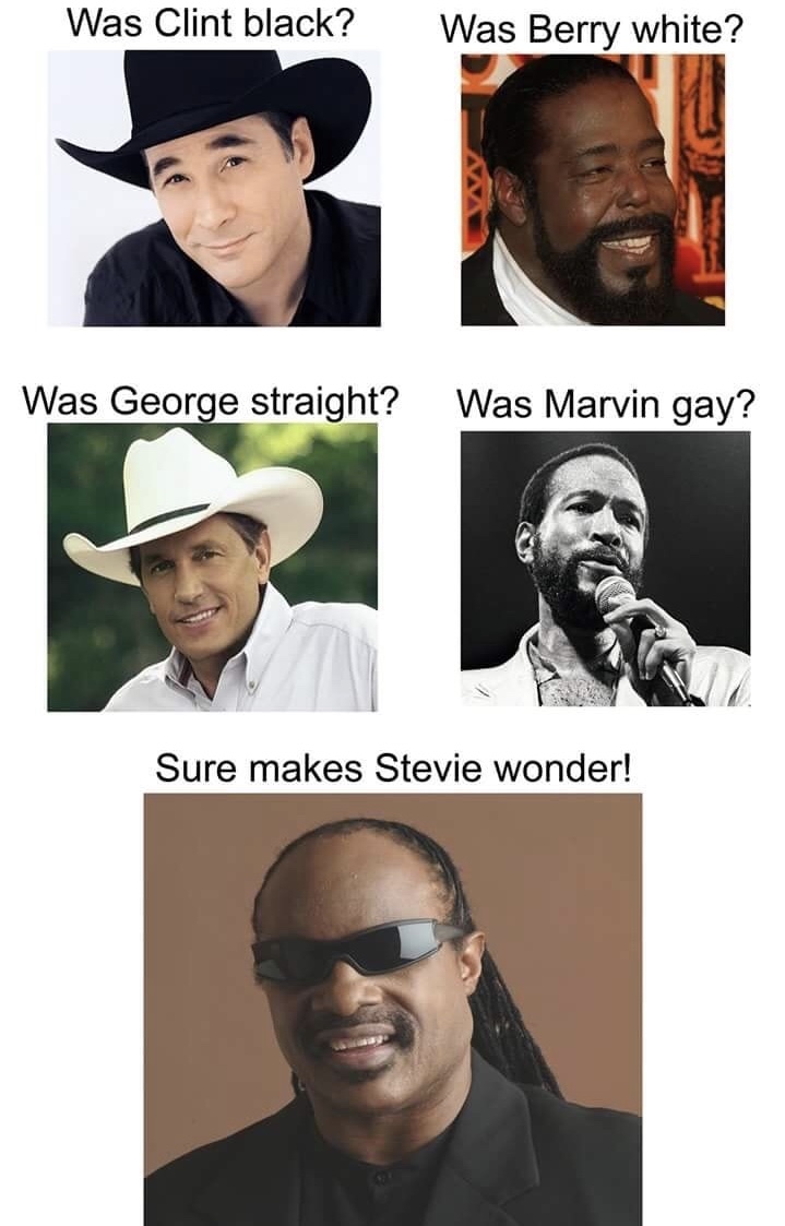 memes - clint black stevie wonder - Was Clint black? Was Berry white? Was George straight? Was Marvin gay? Sure makes Stevie wonder!
