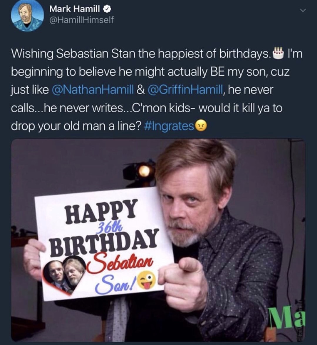 memes - mark hamill sebastian stan - Mark Hamill Himself Wishing Sebastian Stan the happiest of birthdays. I'm beginning to believe he might actually Be my son, cuz just & Hamill, he never calls...he never writes...C'mon kidswould it kill ya to drop your 