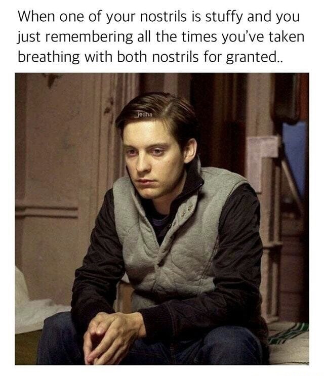 memes - tobey maguire peter parker spider man 2 - When one of your nostrils is stuffy and you just remembering all the times you've taken breathing with both nostrils for granted.. jedha