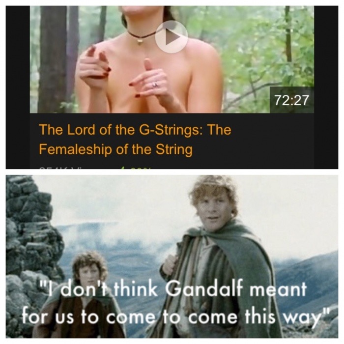 memes - lord of the g strings the femaleship - The Lord of the GStrings The Femaleship of the String "I don't think Gandalf meant for us to come to come this way"