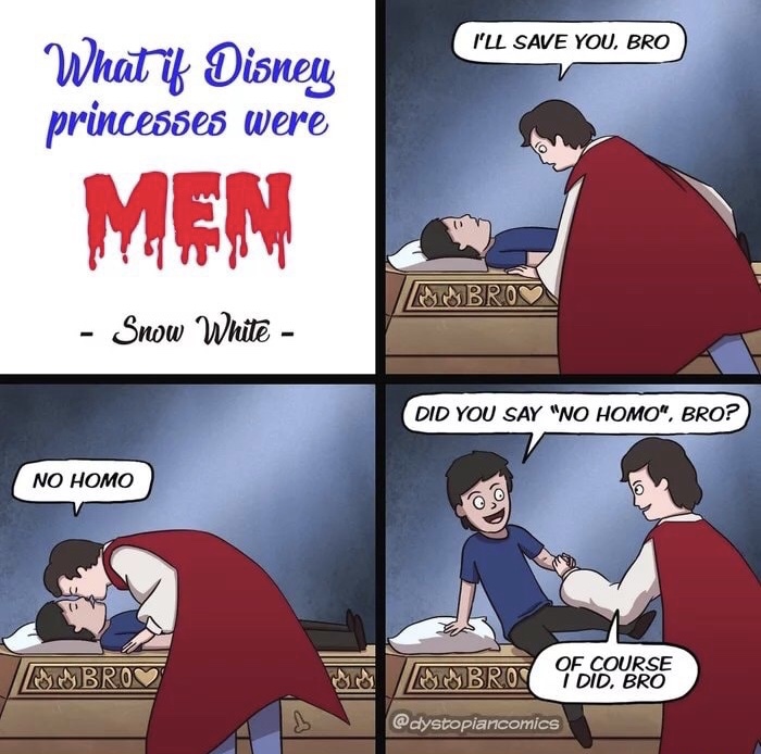 memes - ideas for comics - I'Ll Save You, Bro What if Disney princesses were Men Mabrov Snow White Did You Say "No Homo, Bro? No Homo Ambrov Bros Of Course I Did, Bro