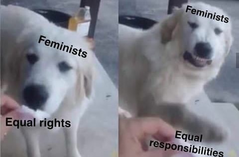 dank feminism equal rights equal responsibilities meme - Feminists Feminists Equal rights Equal responsibilities