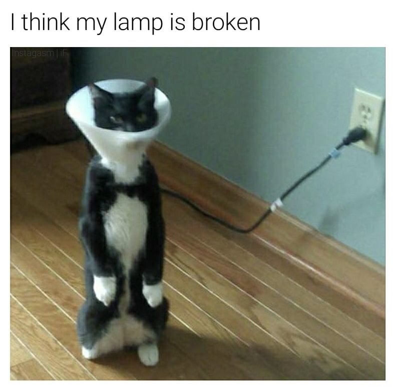 dank I think my lamp is broken InstagasmiF