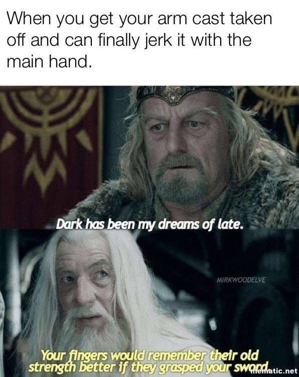 memes - photo caption - When you get your arm cast taken off and can finally jerk it with the main hand. Dark has been my dreams of late. Mirkwoodelve Your fingers would remember their old strength better if they grasped your swaerhatic.net