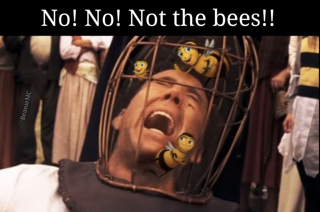 memes - bee movie - No! No! Not the bees!! Beanie Mc