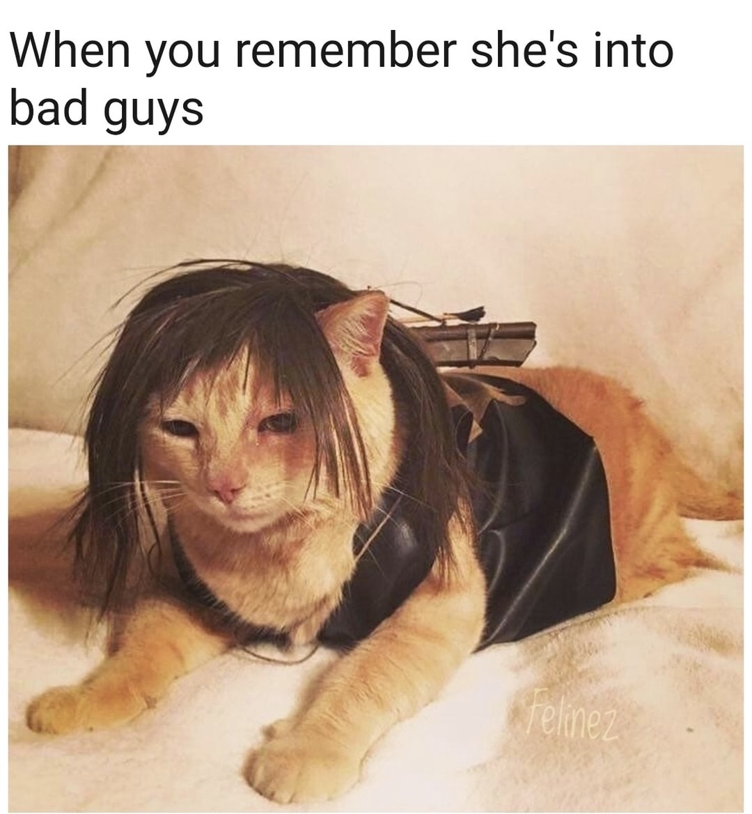 memes - cat walking dead - When you remember she's into bad guys