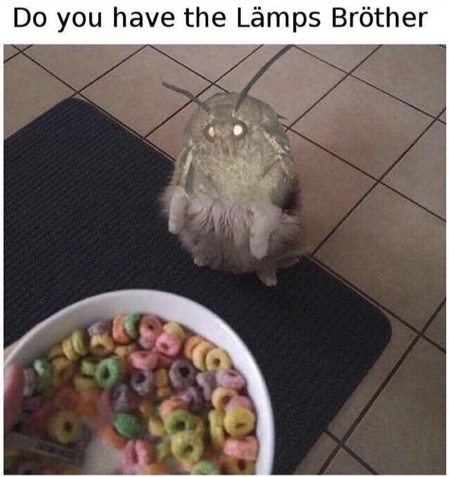 memes - moth memes - Do you have the Lmps Brther