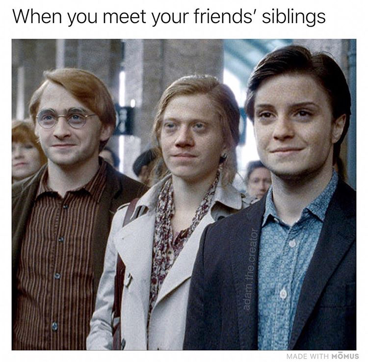 dank meme of harry potter movies - When you meet your friends' siblings adam. the creator Made With Momus