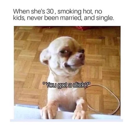 dank meme of you bipolar aintcha - When she's 30, smoking hot, no kids, never been married, and single. You got a dick?"