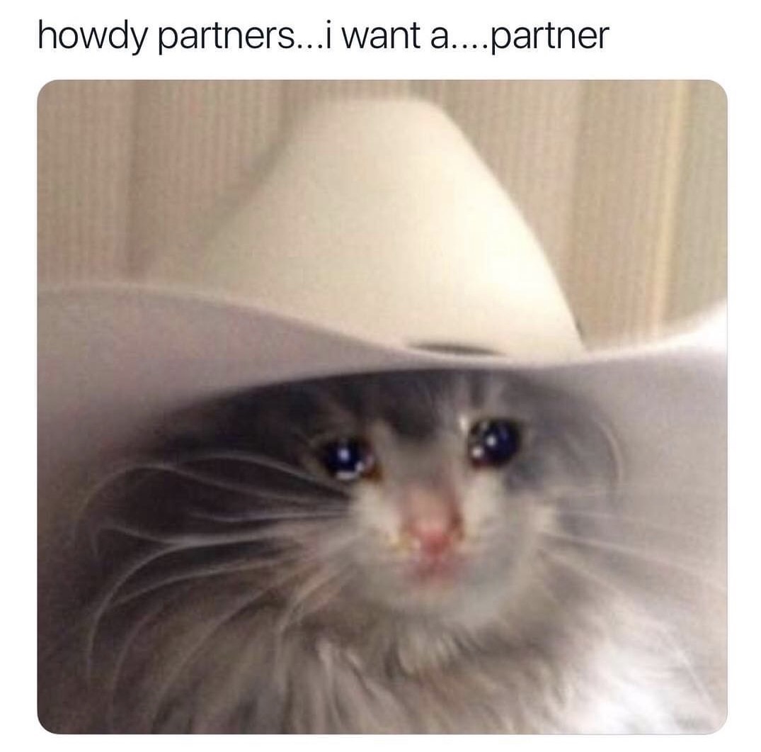 memes - you re just gonna scroll past without saying howdy - howdy partners...i want a....partner