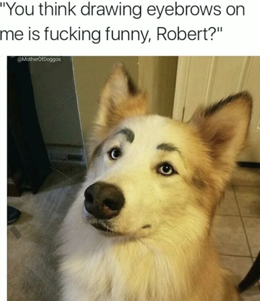 memes - you think drawing eyebrows on me is funny robert - 'You think drawing eyebrows on me is fucking funny, Robert?"