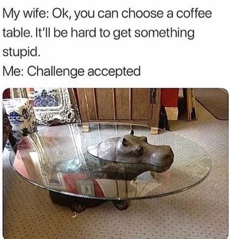 memes - hippo coffee table meme - My wife Ok, you can choose a coffee table. It'll be hard to get something stupid. Me Challenge accepted