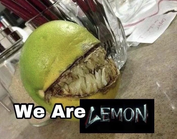 memes - we are lemon meme - We Are Emon