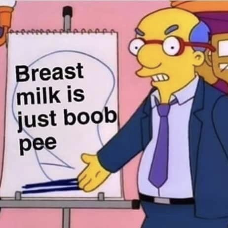memes - simpson memes - are treddann Breast milk is just boob pee