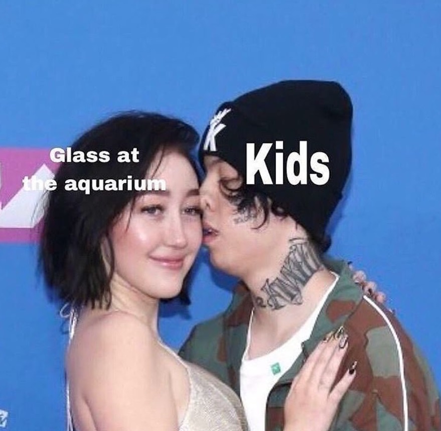 kids up against the glass aquarium as meme