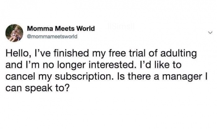 trying to return the free trial of adulting