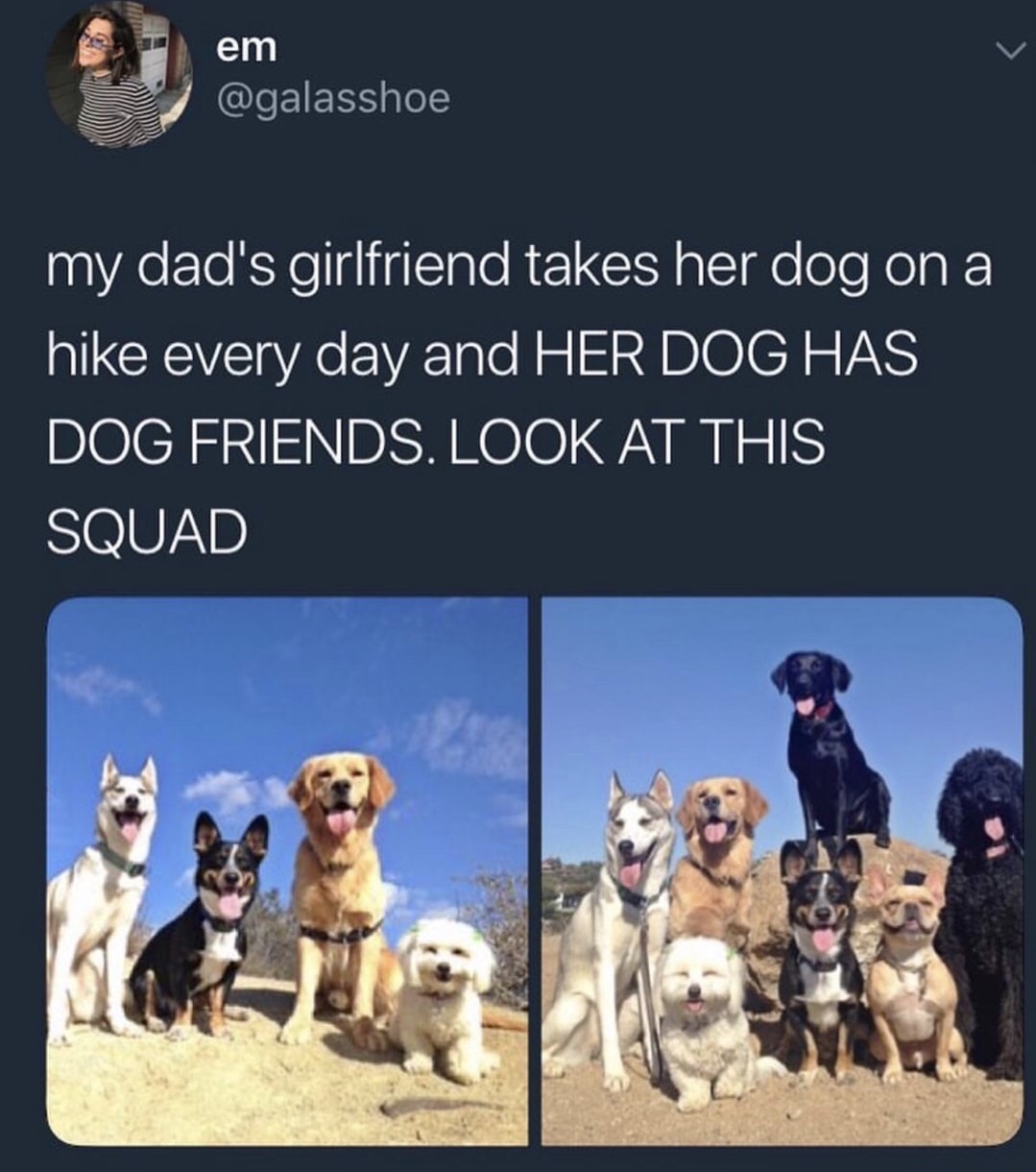 living with girlfriend memes - em my dad's girlfriend takes her dog on a hike every day and Her Dog Has Dog Friends. Look At This Squad