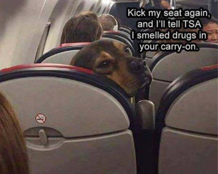 tell your kids to stop kicking my seat - Kick my seat again, and I'll tell Tsa I smelled drugs in your carryon.