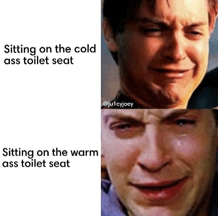 memes - you sit on a cold toilet seat - Sitting on the cold ass toilet seat Sitting on the warm ass toilet seat