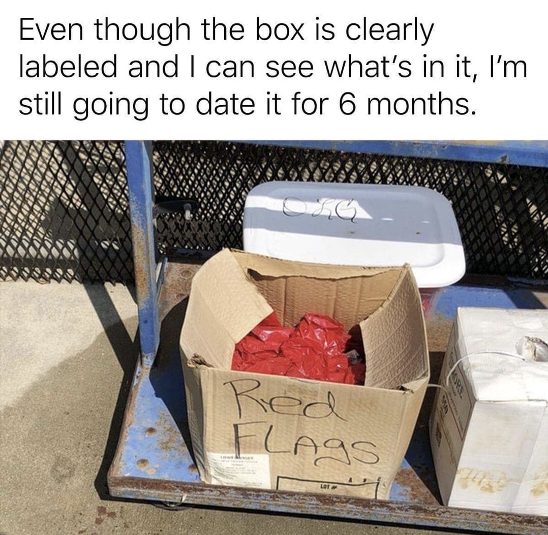 memes - box of red flags meme - Even though the box is clearly labeled and I can see what's in it, I'm still going to date it for 6 months. Red Flags