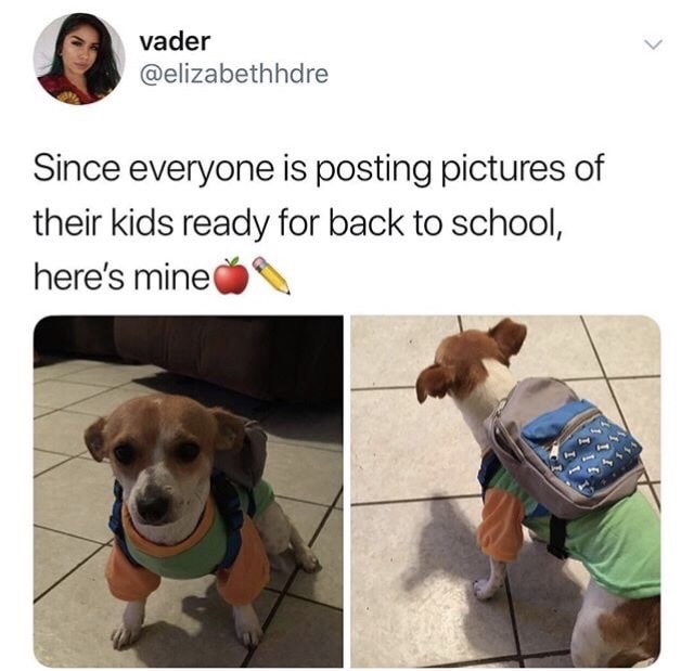 memes - photo caption - vader Since everyone is posting pictures of their kids ready for back to school, here's mine