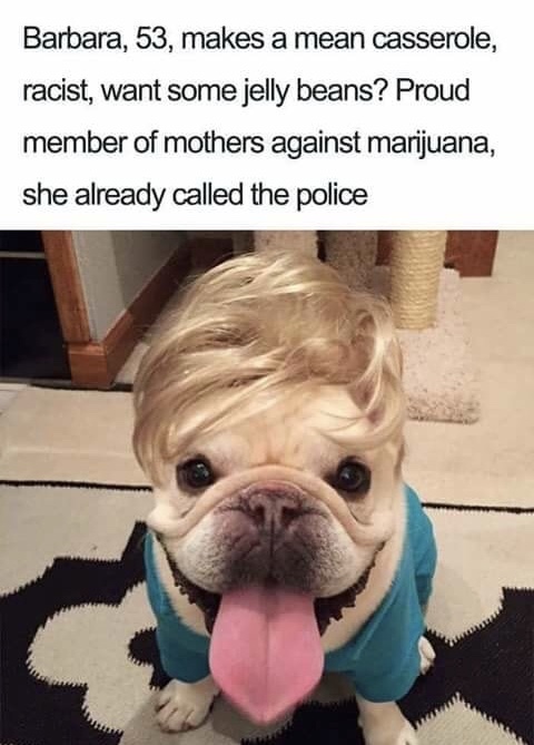 Sunday meme about old white ladies with a pic of a bulldog in a wig