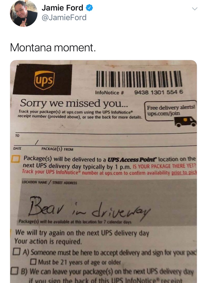 Sunday meme about UPS failing to deliver a package due to a bear