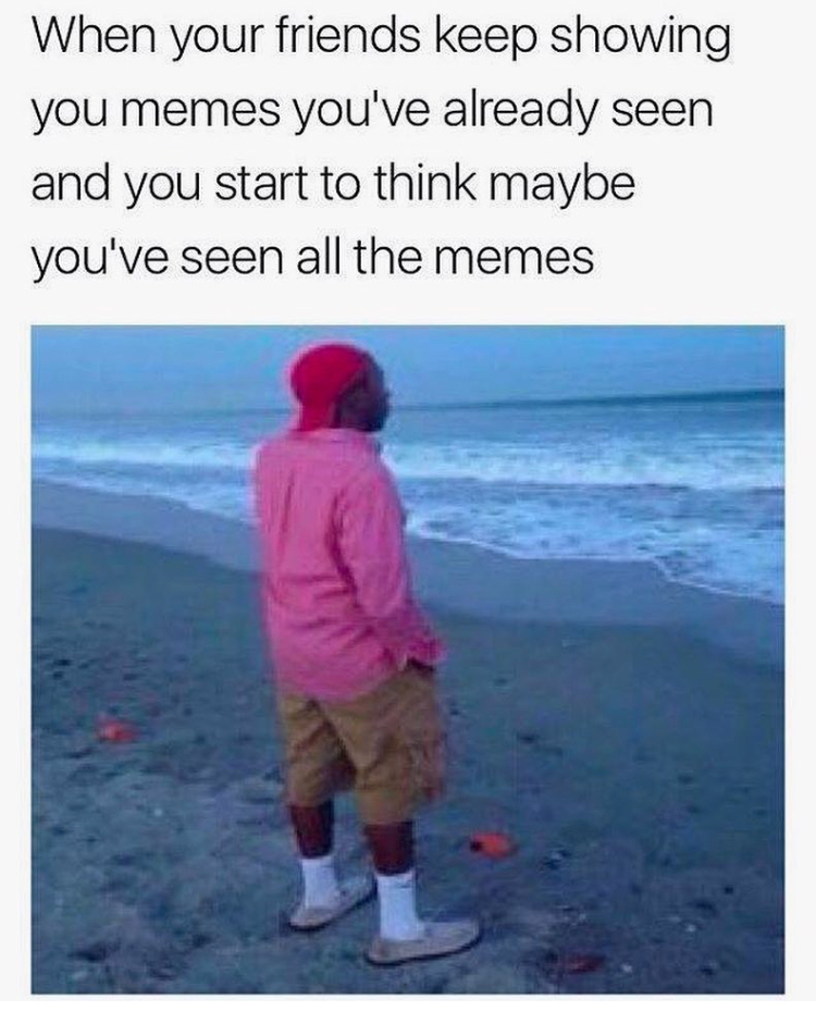 meme your friends keep showing you memes - When your friends keep showing you memes you've already seen and you start to think maybe you've seen all the memes