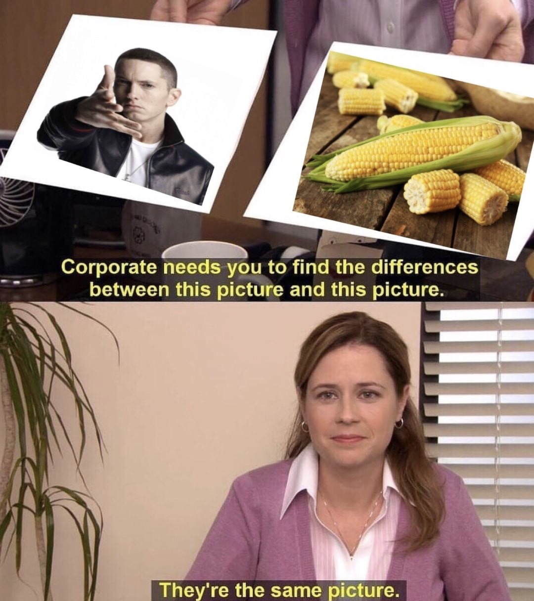 meme tik tok insult memes - Corporate needs you to find the differences between this picture and this picture. They're the same picture.