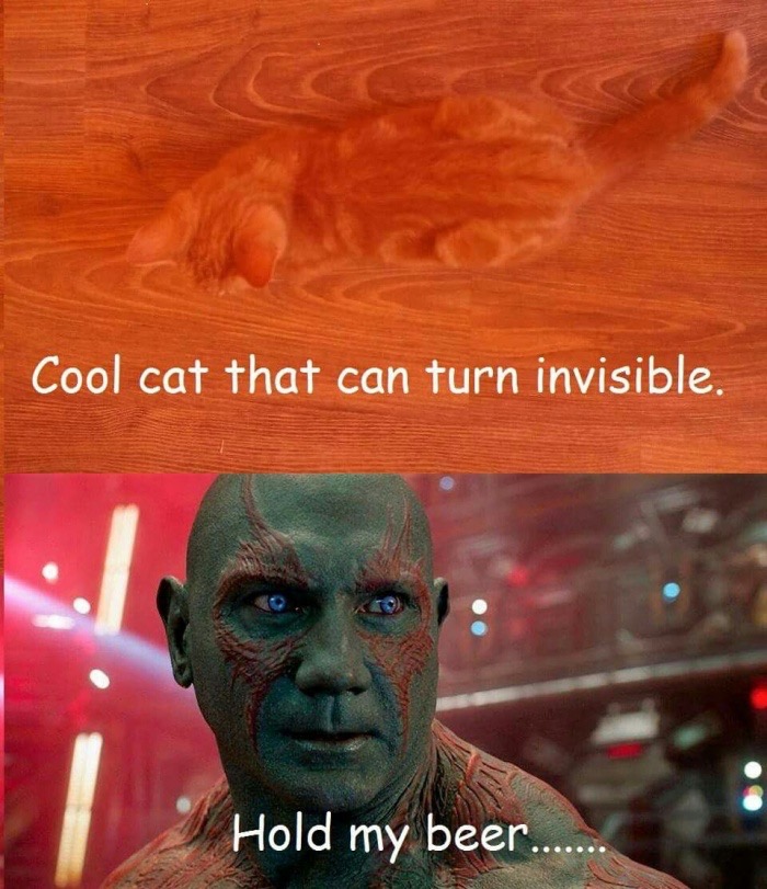 invisible cat hold my beer meme