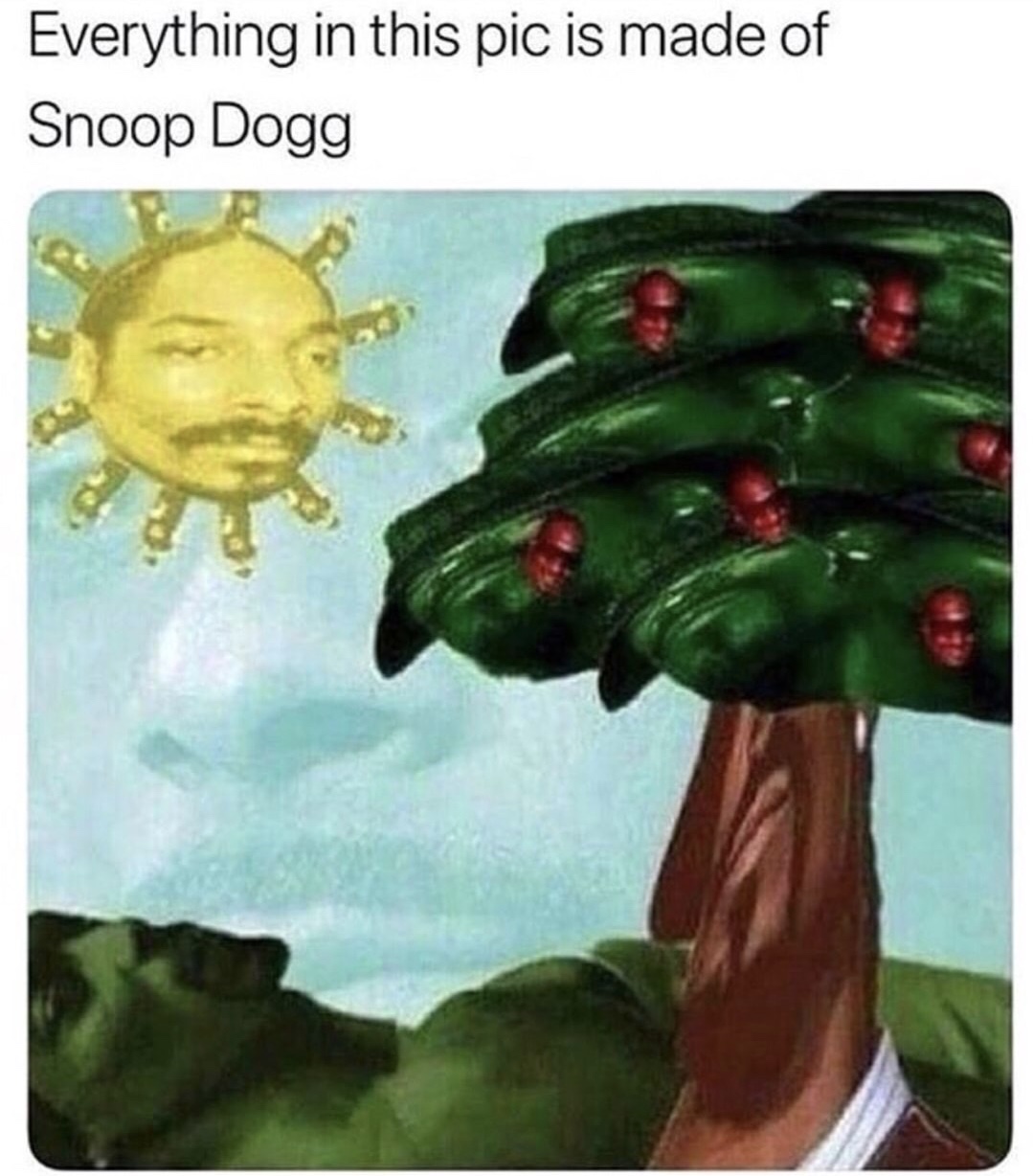 picture in which everything is snoop dog