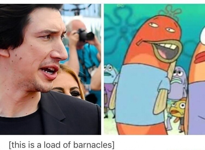 memes - load of barnacles adam driver - this is a load of barnacles
