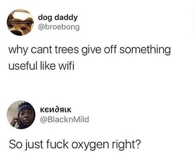 memes - Meme - dog daddy why cant trees give off something useful wifi So just fuck oxygen right?
