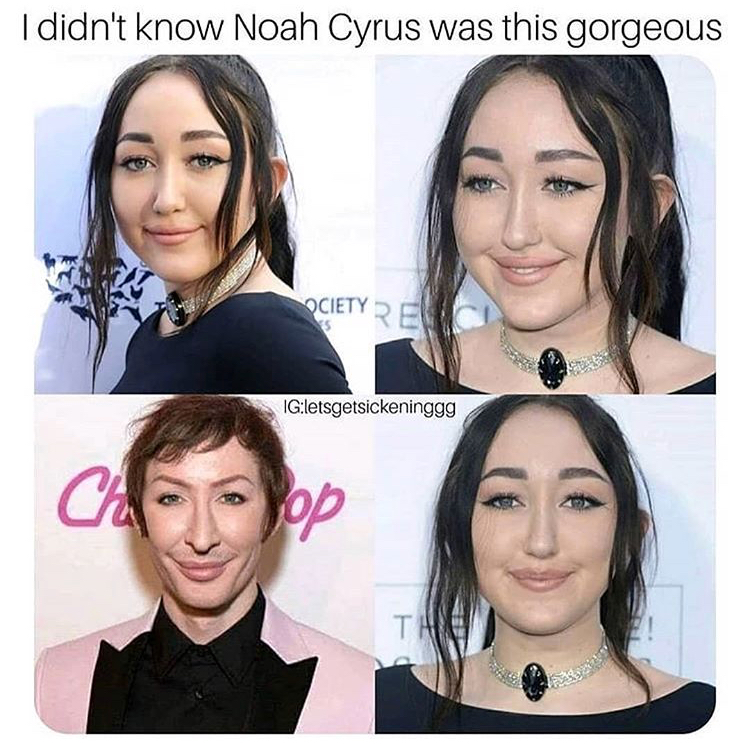memes - humane society of the united states - I didn't know Noah Cyrus was this gorgeous Cietyre Igletsgetsickeninggg Top