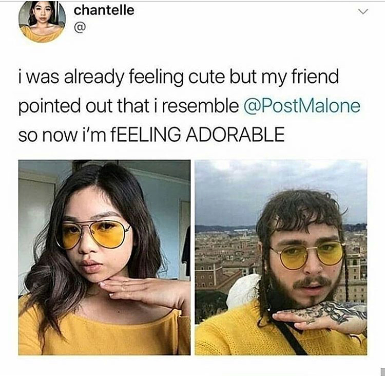 memes - adorable post malone cute - chantelle i was already feeling cute but my friend pointed out that i resemble Malone so now i'm Feeling Adorable